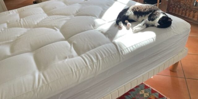 The Fine Art Of Bed Making